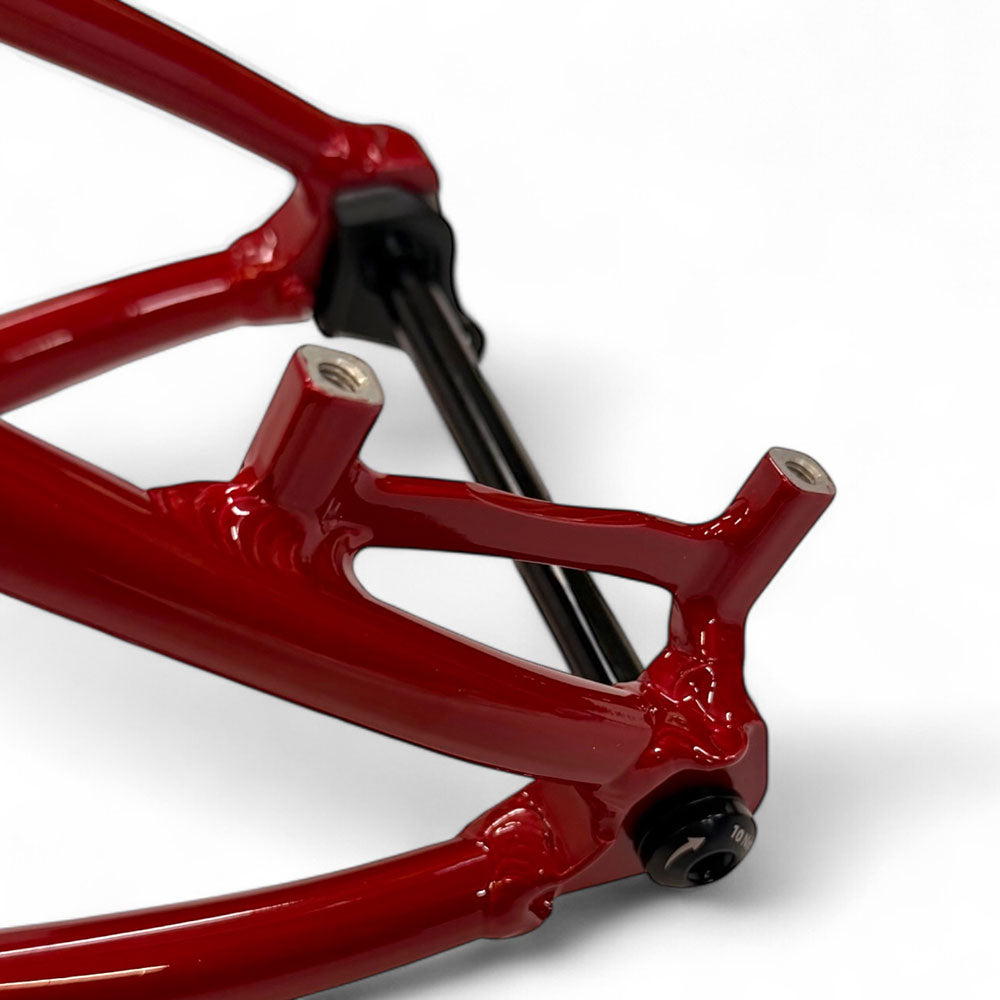 HUP xc MTB hardtail frame